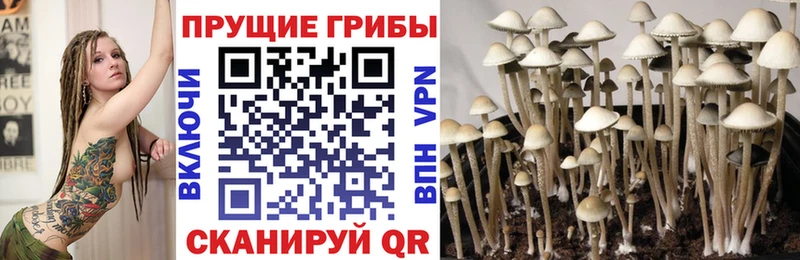 Галлюциногенные грибы Cubensis  мориарти клад  Лебедянь 